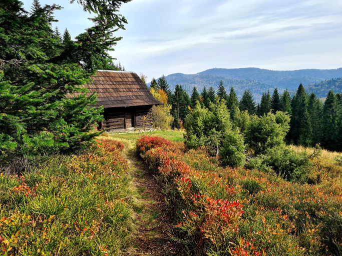 Others 2, Forest House, Limanowa