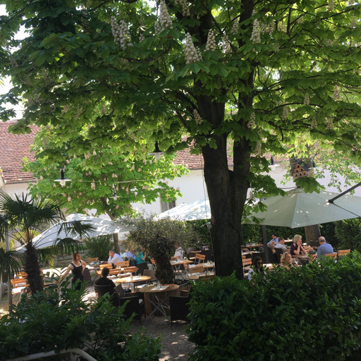 Others 3, Wildenauer's, Mödling