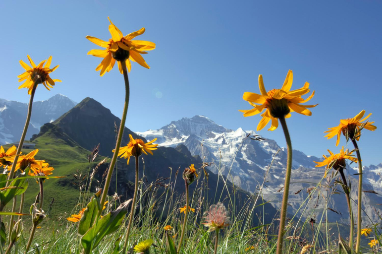 Others 2, Berghaus Mannlichen, Interlaken