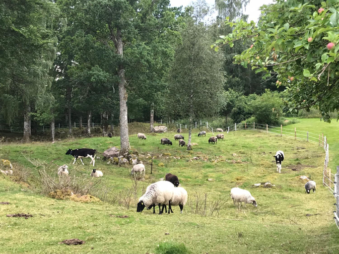 Others 5, Joarsbo, Stuga 2, Gardsstugan, Svenljunga