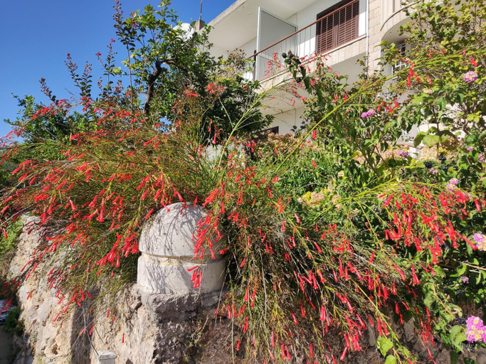 Others 2, Apartments & Rooms Mare, Baška Voda