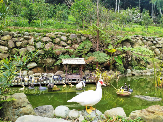 Others 3, Yanzitao Pottery Coffee B&B, Miaoli