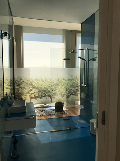 Bathroom 4, Vald'aregos - Douro, Resende