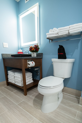Bathroom 5, The Alder at Resorts World Catskills, Sullivan