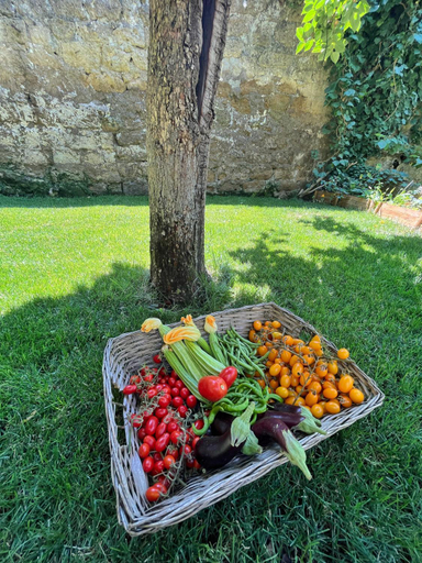 Others 4, Casa Vayu - Rooms & Garden, Napoli