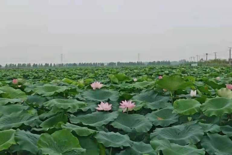 Others 3, Huamei Holiday Hotel, Bengbu