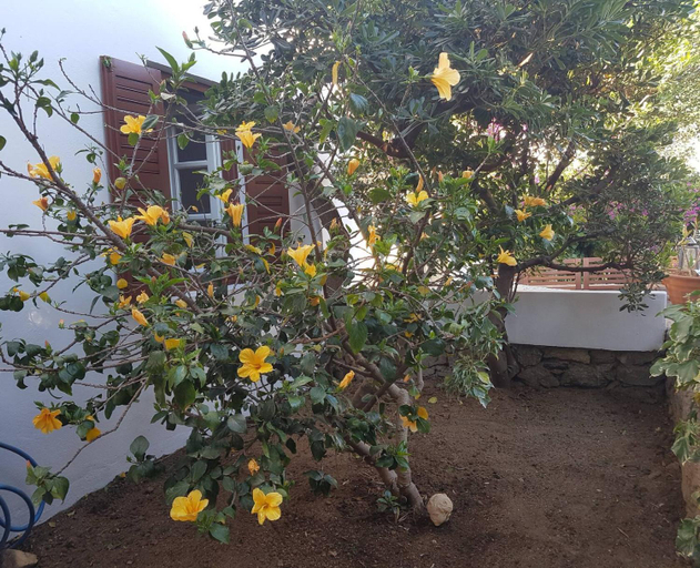 Garden 5, Dominique & Carlos Place, South Aegean