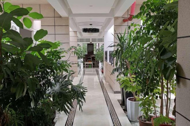 Others 4, Yanjin Jinzuo Mingdu Hotel, Zhaotong