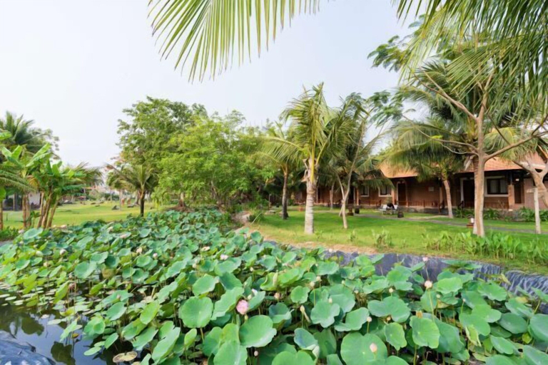 Scenery 17