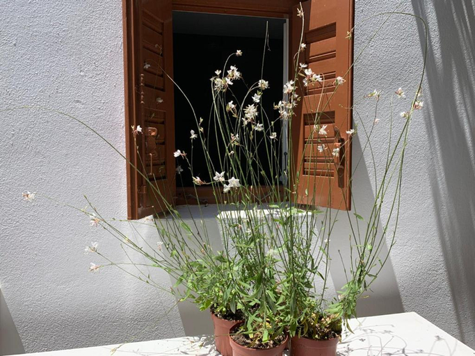 View 2, Dominique & Carlos Place, South Aegean