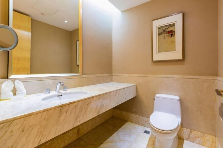 Bathroom 4, Lotin Hot Springs Hotel, Maoming