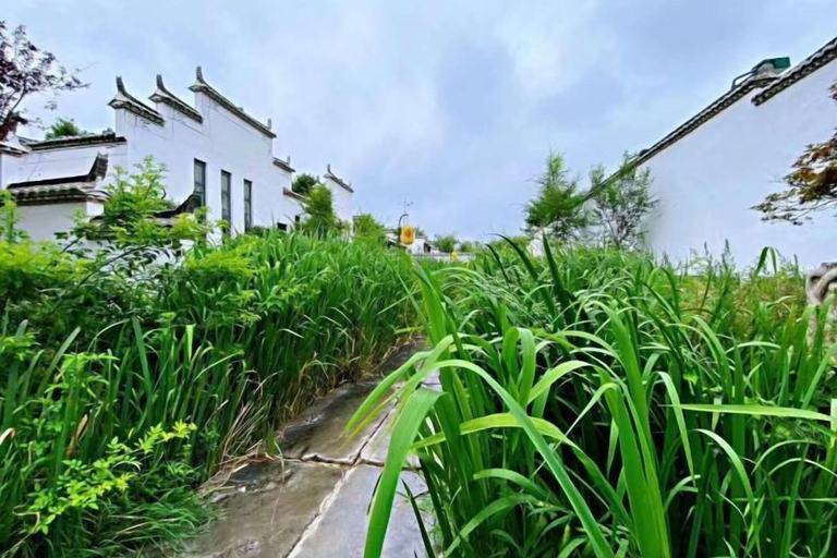 Others 5, Guantang Hot Spring (International) Resort, Linyi
