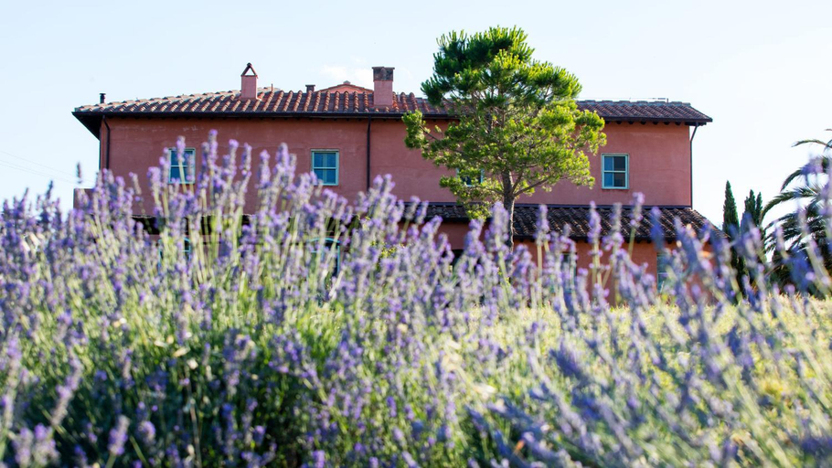 Others 5, Agriturismo Le Tassinaie, Pisa