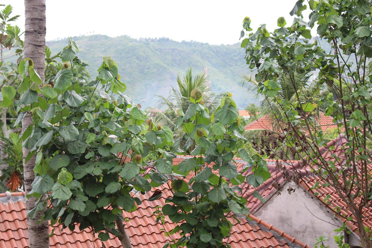 Scenery 8