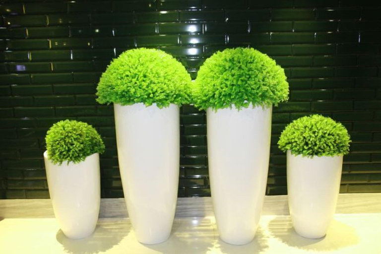 Others 4, Yunman Life Hotel, Luzhou