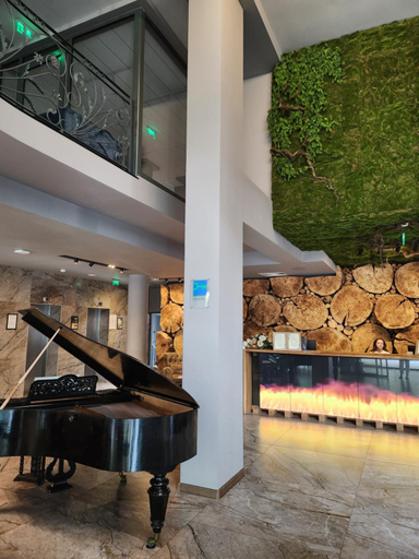 Public Area 3, The Five Elements Hotel, Sapareva Banya
