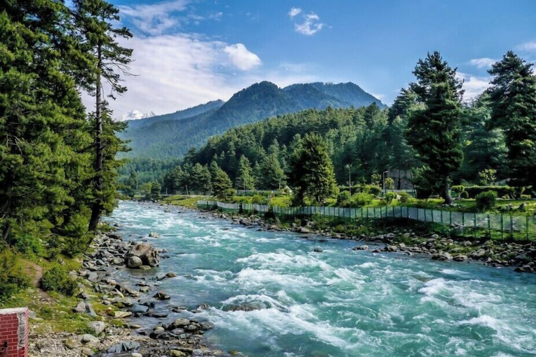 Others 5, Asal Resorts Pahalgam, Anantnag