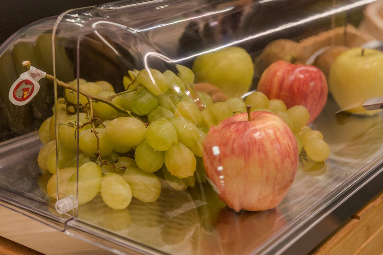 Food & Drinks 5, Hotel Olot Centre, Girona