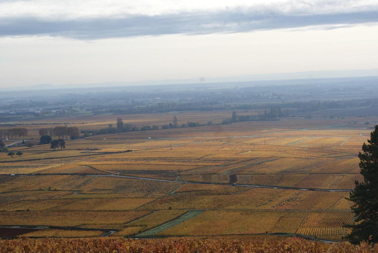 Scenery 14