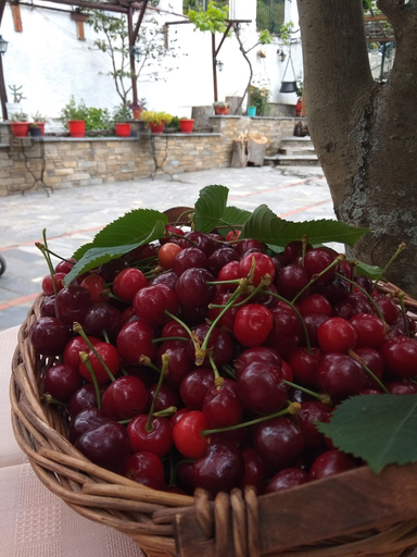 Food & Drinks 5, Archontiko Kantartzi, Thessaly