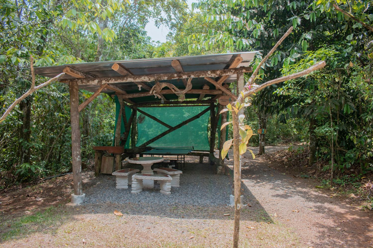 Others 4, Tree Houses Hotel Costa Rica, San Ramón