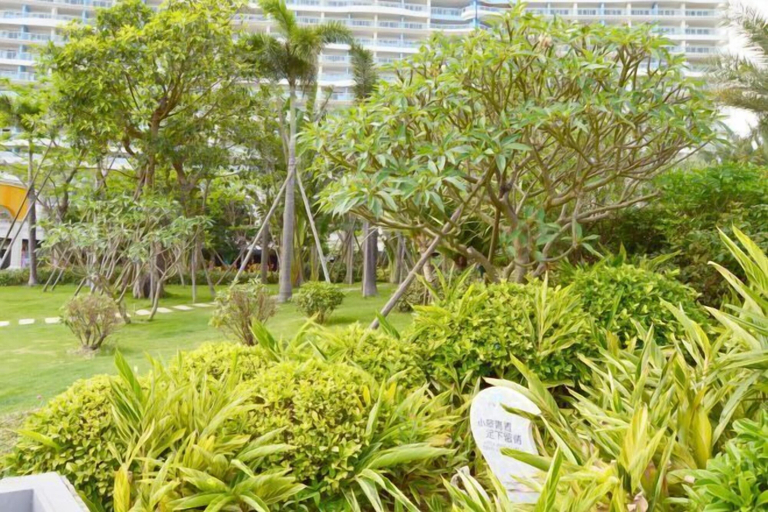 Others 5, Laimeng Shuixiewan Haiyi Holiday Apartment, Huizhou
