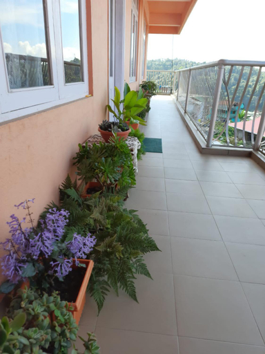 Others 4, SEWANS PLACE Homestay, Darjiling