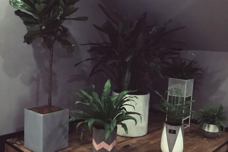 Others 5, Punk Ballet Ins Hotel, Zhenjiang