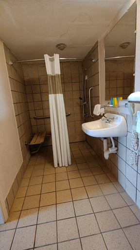 Bathroom 4, Countryside Inn & Suites, McCurtain