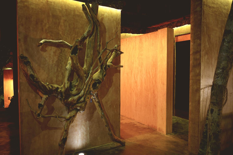 Bathroom 3, Bufo Alvarius, Cozumel
