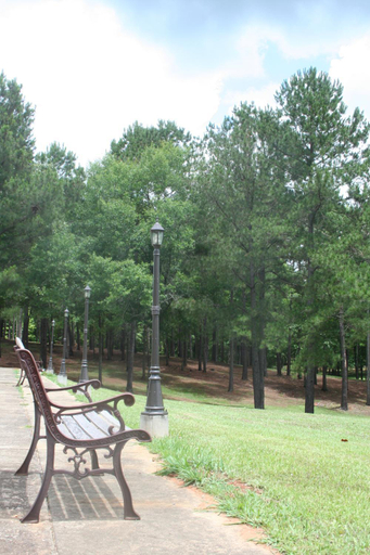 Others 1, Kick Back Ranch, Montgomery