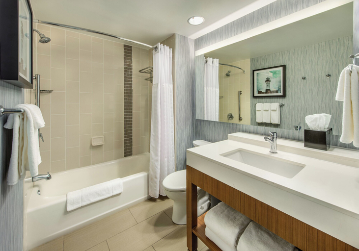 Bathroom 5, Hyatt Place Dewey Beach, Sussex