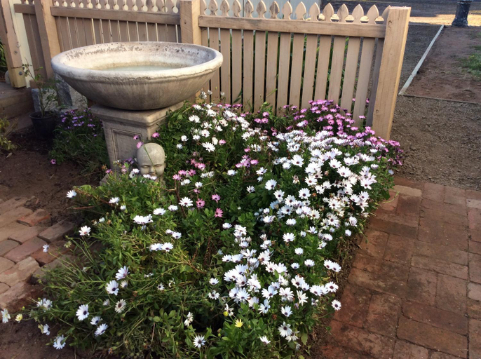 Others 2, Cozy Home Style Accommodation, Gr. Bendigo - Inner West