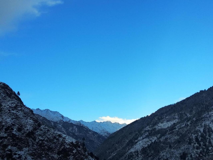 Others 3, Apple Blush Retreat - Tirthan Valley, Kullu