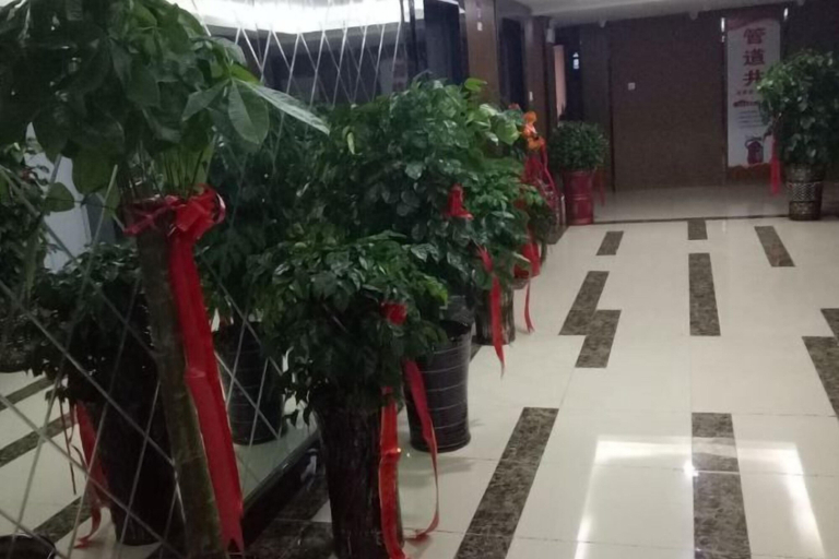Exterior & Views, Yi Xiao Ting Hotel, Enshi Tujia and Miao