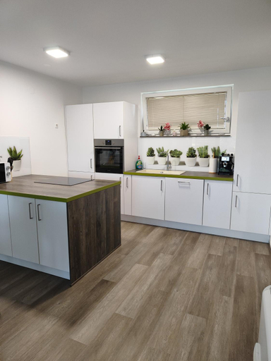 Kitchen 2, Family apartment Moravske Toplice, Moravske Toplice
