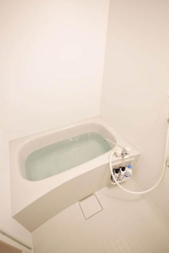 Bathroom 2, Kurarisu II Room D, Ishigaki