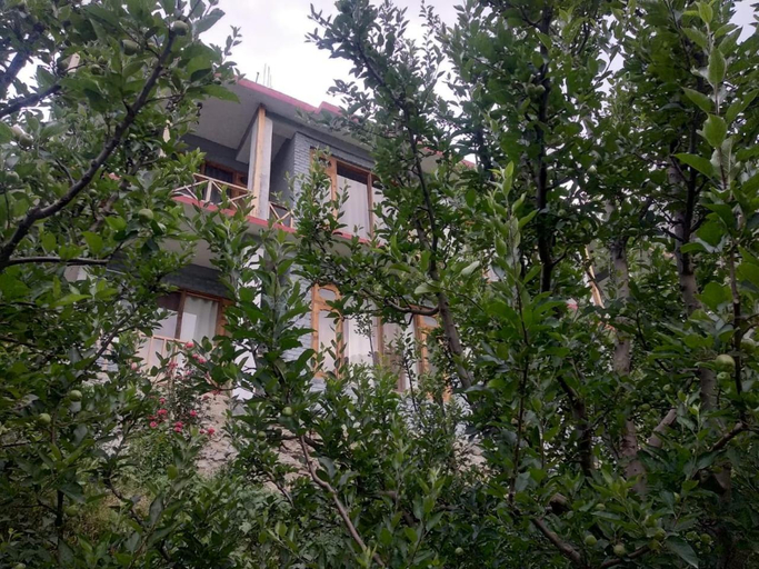 Others 4, Apple Blush Retreat - Tirthan Valley, Kullu