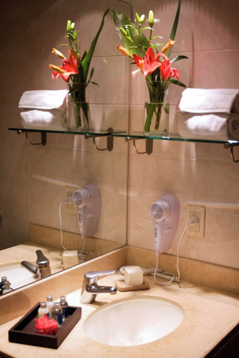 Bathroom 5, Argenta Tower Hotel & Suites, Distrito Federal