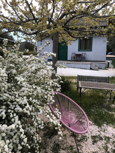 Others 2, Olive Grove, Attica