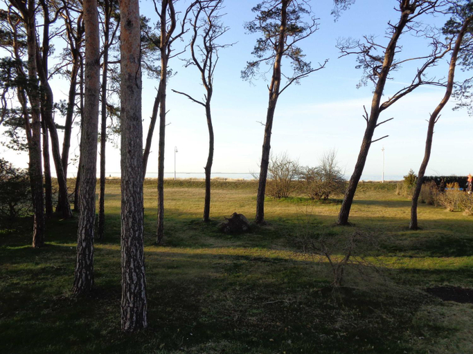 Others 4, Ferienhaus Windrose, Vorpommern-Rügen