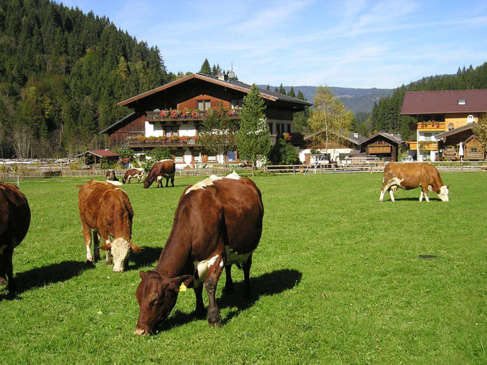 Others 4, Winklhutte, Sankt Johann im Pongau