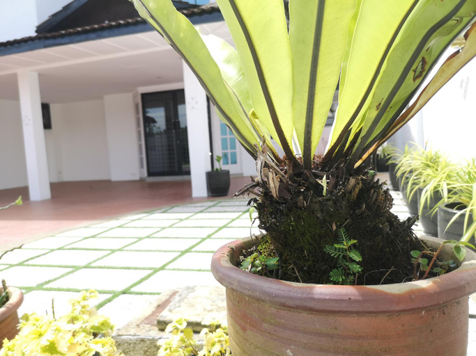 Others 4, Jb City 5 Bedroom semi-d Near ksl,mid valley ,berjaya waterfront, Johor Bahru