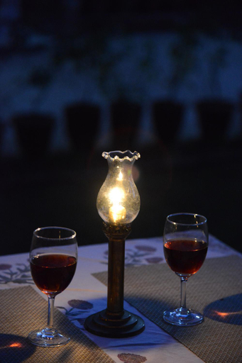 Food & Drinks 5, Hotel Jaswant Bhawan, Bikaner