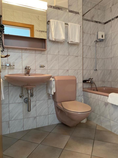 Others 3, Guesthouse St. Martin, Visp