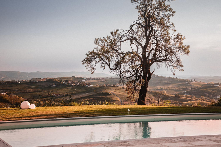 Others 2, Villa Vinory Bricco di Nizza, Asti