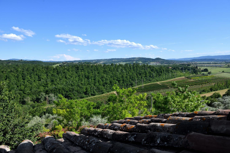 View 3, Porsenna Resort, Perugia