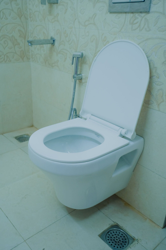 Bathroom 3, Lime Tree Hotel Golf Course Extension Rd, Gurgaon