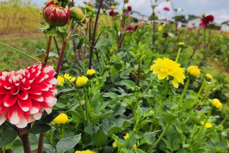 Garden 4, Idyllisches Selfkant erleben, 90qm große Wohnung fur Ihren entspannten Aufenthalt, Heinsberg