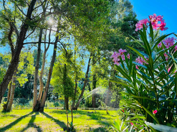 Others 5, Garden Villas